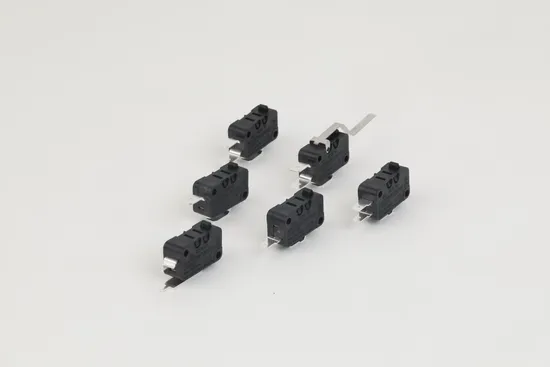 Ms10 Dual Support Point and Stable Itinerary Rice Cooker Micro Switch